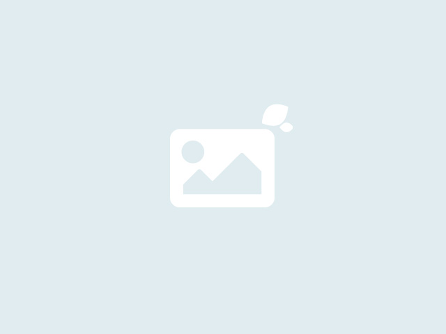 Progetto Educazione Civica Progetto Educazione Civica