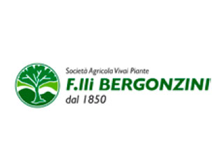 bergonzini-low